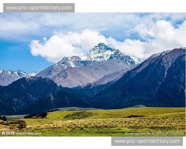 渤海之滨的雄狮与天山之巅的苍狼：天津男篮与新疆男篮的宿命对决